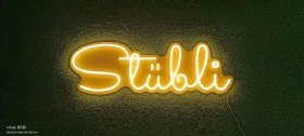 Flex neon sign