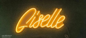 Flex neon sign